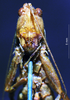 CollectionObject 1506721; 8db43aef-91f4-4c15-81f1-addc7b79763c: male frons (holotype). (CollectionObject).