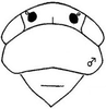 Head: !! display not done !! on Davisonia major (Dorst, 1931): head, dorsally. (Observation).
