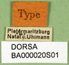 CollectionObject 1502829; 6288b93a-b5a5-4439-bfa1-7bc74091ccd7: labels. (CollectionObject).