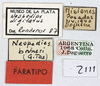 CollectionObject 1566279; 2a8b706a-824f-4aa8-bdf0-ca7f6e742fba: labels (paratype). (CollectionObject).