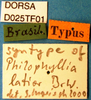 CollectionObject 1505007; 03e407a6-34e9-414f-a21b-90032a9ad21b, DORSA D025TF01: labels (syntype). (CollectionObject).