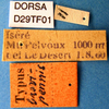 CollectionObject 1505027; 66a7a961-1ad0-4825-b23d-ca6a02e160d0, DORSA D29TF01: labels (holotype). (CollectionObject).