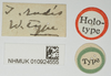 labels (holotype). Depicts CollectionObject 1582373; a41ea717-d5ea-483c-8d01-f2beb864a33a, NHMUK10924555, a CollectionObject.