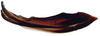 Second valvula of ovipositor on Coarctana nigromedia Domahovski & Cavichioli, 2023: Female paratype [DZUP]: second valvula, lateral view. (Observation).