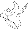 Aedeagus, lateral view on Empoascanara (Empoascanara) Distant, 1918: Aedeagus (E. nigrobimaculata Motsch.), lateral view. (Observation).