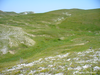 CollectionObject 1591354; 67f7845f-7f99-48b1-8522-39f033dd3991: habitat (Crimea, Babugan Yayla). (CollectionObject).