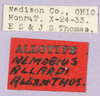 labels (allotype). Depicts CollectionObject 1499583; bb19061f-7210-4776-ae90-2e0e40295ec8, a CollectionObject.