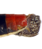Pygofer, lateral view on Cuerna arida Oman & Beamer, 1944: Caudal abdomen, lateral view. (Observation).