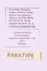 CollectionObject 1544707; UDBC<IH> MUD 046 ORT, dbf5e890-6786-4fe1-a701-a6edb7b4db4d: female, labels (paratype). (CollectionObject).