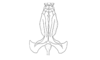 Talamancacris palustris Rowell, 1995: Fig. 7G. endophallus, dorsal view. (Otu).