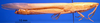 CollectionObject 1565355; 699a0e88-4436-4f37-ae4b-bc7870b2fc0b: female, lateral view. (CollectionObject).