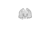 Ixalotettix compactus Amédégnato & Descamps, 1979: Fig. 51. aedeagus, dorsal view. (Otu).