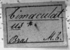 CollectionObject 1574963; 1b92b895-27a7-4483-b316-de48c7cb347b: labels. (CollectionObject).