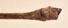 CollectionObject 1559593; 3660f0bc-112f-4325-b101-c1262d4581e1: copyright OIMNH. male: end of abdomen, dorsal view of synonym Necroscia agondas (holotype). (CollectionObject).