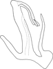 Aedeagus, lateral view on Anufrievia arcuata Yang & Zhang, 2018: Aedeagus, lateral view. (Observation).