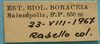CollectionObject 1597004; daa796c9-4dcf-47c9-9de6-dfc2a9db74b5: label (paratype of Hammatofera brasiliensis). (CollectionObject).