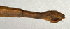 CollectionObject 1557743; NMW 536, c820ed84-b37c-4a34-8e08-66ec7d2fccbe: copyright NMW, Vienna. male: end of abdomen, lateral view (syntype). (CollectionObject).