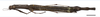CollectionObject 1596257; 9dfcb0ca-1af0-4198-8a27-0d52024f92dc: copyright NKUM Nankai. female, dorsal view (holotype). (CollectionObject).