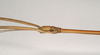 CollectionObject 1559430; 0ff15772-69cf-4ade-93a0-39d16826f620: copyright Natural History Museum, London. male: head and thorax, lateral view of synonym Lonchodes hosei herberti (paratype). (CollectionObject).;CollectionObject 1559431; 46b1f043-e927-45f1-9ae1-a4e9b7601344: copyright Natural History Museum, London. male: head and thorax, lateral view of synonym Lonchodes hosei herberti (paratype). (CollectionObject).