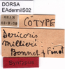 CollectionObject 1537530; bf59cb0c-295f-46f1-a36f-162f5197a098: labels (syntype). (CollectionObject).