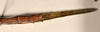 CollectionObject 1561204; a6e75a64-5bb5-4e33-94cb-b4702485f890: copyright OUMNH. female: end of abdomen, dorsal view of synonym Bacteria sarmentosa female (holotype). (CollectionObject).