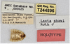CollectionObject 1618716; 1bbab282-cf0f-4cbf-8763-95d190c93762: (CollectionObject).