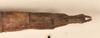 CollectionObject 1561316; b414e1dc-8993-42e9-9cb7-4610bec32019: copyright OUMNH. female: end of abdomen, dorsal view of synonym Metriotes dictys (holotype). (CollectionObject).