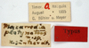CollectionObject 1536151; abeac6cb-57b7-49cc-a31e-a95cec85bee7: labels (holotype). (CollectionObject).