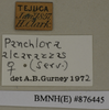 CollectionObject 1572965; d182be59-286b-4d24-8462-e17ffd8e5ee8: Copyright Natural History Museum, London. Labels from non-type (adult female) in BM(NH). (CollectionObject).