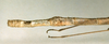 CollectionObject 1557247; cd679769-be0f-441c-9884-0c3d4493b477: copyright NHRS, Stockholm. female: end of abdomen, lateral view of Carausius mercurius (holotype). (CollectionObject).