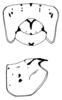 Figs. 1, 2. pronotum, dorsal and lateral view. Depicts Dissonulichen (Dissonulichen) hebardi (Costa Lima & Guitton, 1960), an Otu.