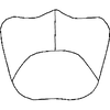 Subgenital plate: !! display not done !! on Neoaliturus (Circulifer) tenellus (Baker, 1896): Subgenital plate. (Observation).