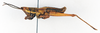 CollectionObject 1575274; ce03071a-458f-4445-bf2e-b2d7b61635cd: male, lateral view (paralectotype). (CollectionObject).