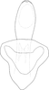 Aedeagus, ventral view on Exitianus indicus (Distant, 1908): Aedeagus, ventral view. (Observation).