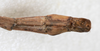 CollectionObject 1560979; NMW 225, c4456121-0477-475e-b2ba-d2612656ced1: copyright NMW, Vienna. male: end of abdomen, lateral view (holotype). (CollectionObject).