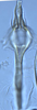 Aedeagus, ventral view: !! display not done !! on Hebata (Hebata) fabalis (DeLong, 1930): (Observation).