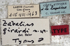 CollectionObject 1539752; e07ce68e-0f42-484b-9024-ac61281af520: labels (holotype). (CollectionObject).