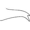 Anal tube processes on Arboridia (Arborifera) vinealis (Ahmed, 1970): Anal tube. (Observation).