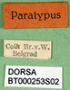 labels (syntype). Depicts CollectionObject 1502452; aa98d319-2361-49cb-8dfb-20c3ae2fbcad, a CollectionObject.