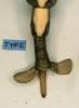 CollectionObject 1558812; d55bf420-b728-4f51-ac65-3aa2206a86e3: copyright CUMZ, Cambridge. female: end of abdomen, dorsal view (syntype). (CollectionObject).;CollectionObject 1558813; 49704ac7-286a-4516-a3eb-2662b0db8d0f: copyright CUMZ, Cambridge. female: end of abdomen, dorsal view (syntype). (CollectionObject).