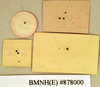 Periplaneta floweri Hanitsch, 1931: Holotype, male, labels, reverse. BMNH(E)#878000. (Otu).