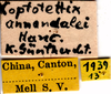 CollectionObject 1505131; b7fa1fda-d0c0-42d0-b7e2-3fc8aae2a9e0: labels. (CollectionObject).