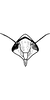Head: Head. (Observation).