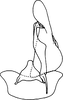Subgenital plate: !! display not done !! on Irenaneura dworakowski Cao, Huang & Zhang, 2012: Subgenital plate. (Observation).