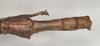 CollectionObject 1563489; NHMUK(SF IMPORT DUPLICATE) 845018, b77f256c-c908-4a52-b61b-a77a1be829c6: copyright natural History Museum, London. female: end of abdomen, dorsal view (holotype). (CollectionObject).
