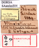CollectionObject 1530784; 97094e5d-09a6-4373-bd36-e2f255262672: labels (female syntype). (CollectionObject).