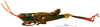CollectionObject 1536066; e41e7803-4980-41ba-bf47-e528df22c58d: male habitus lateral view (holotype). (CollectionObject).