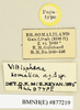 CollectionObject 1520622; 65d54b01-9da9-44f6-b9e7-9b84c2f6a6e0: labels (allotype). (CollectionObject).