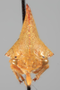 Head: !! display not done !! on Telonaca ramona Ball, 1918: (Observation).