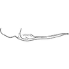 Pygofer appendages on Apheliona bioculata (Melichar, 1903): Pygofer ventral appendage. (Observation).